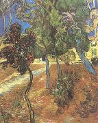 Vincent Van Gogh Trees in the Garden of Saint-Paul Hospital (nn04) oil on canvas